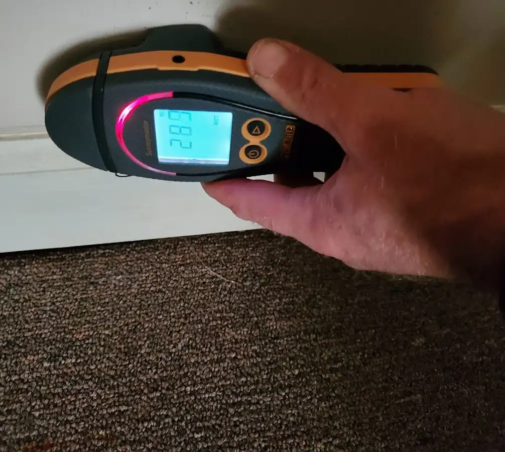 Moisture detection at baseboard during Mold Inspection & Testing in Fairfield